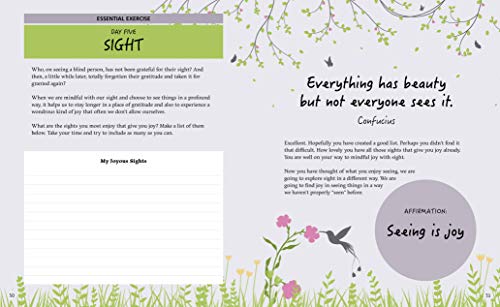 The Joy of Mindful Journaling: Finding Serenity Through Creative Expression (Sirius Mindful Journals),Used