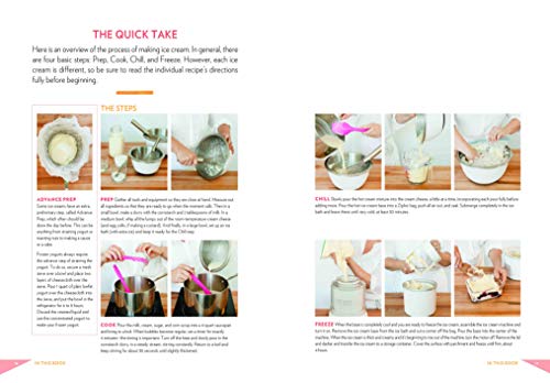 Jeni's Splendid Ice Cream Desserts,Used