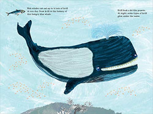 The Big Sticker Book of Blue (The Big Book Series),Used