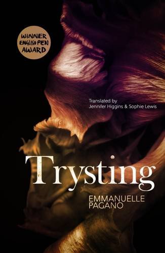 Trysting: A History of Vermont's Queen City (French Edition),Used