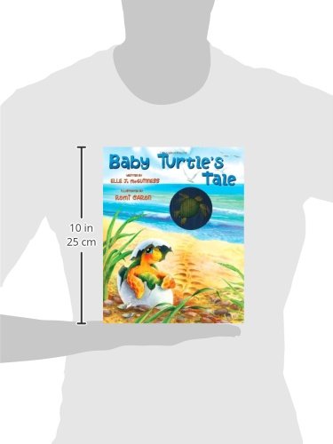 Baby Turtle's Tale,Used