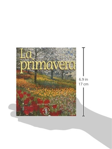 La Primavera/spring (Spanish Edition),Used