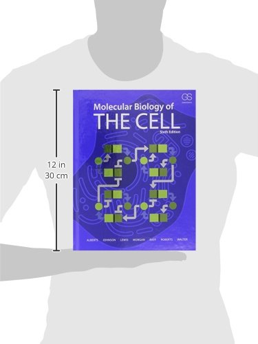 Molecular Biology of the Cell,New