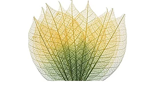 Programming Logic and Design, Comprehensive,New