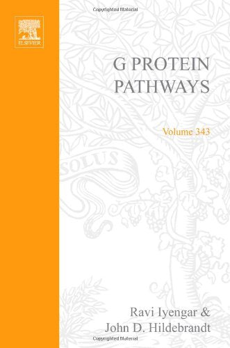 G Protein Pathways, Part A: Receptors (Volume 343) (Methods In Enzymology, Volume 343)