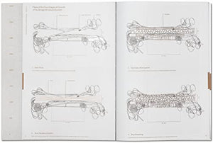 Julia Watson: Lotek; Design By Radical Indigenism