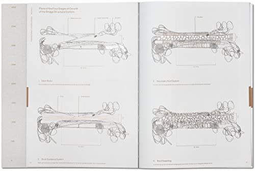 Julia Watson: Lotek; Design By Radical Indigenism