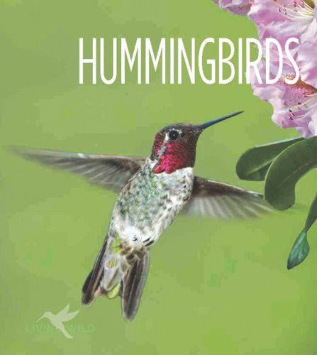 Living Wild: Hummingbirds