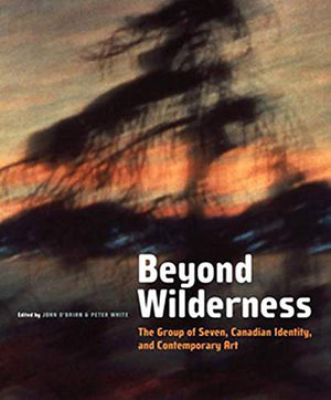 Beyond Wilderness: The Group Of Seven, Canadian Identity, And Contemporary Art (Arts Insights Series),New