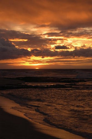 Designing Paradise: The Allure Of The Hawaiian Resort,Used