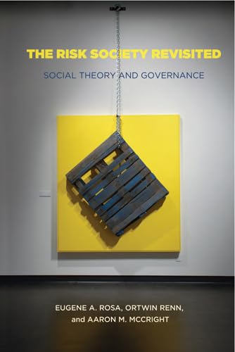 The Risk Society Revisited: Social Theory and Risk Governance,Used