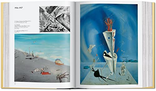 Dal: The Paintings: 19041989,Used