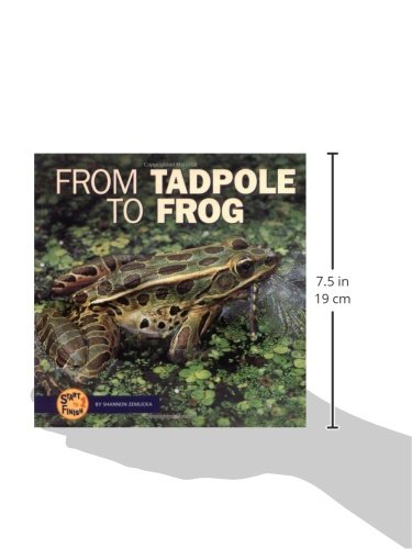 From Tadpole to Frog (Start to Finish),Used