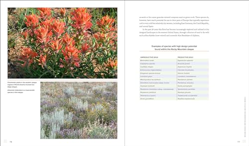 Sowing Beauty: Designing Flowering Meadows from Seed,Used