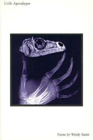Little Apocalypse (Richard Snyder Publication),Used