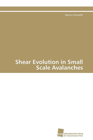 Shear Evolution in Small Scale Avalanches (German Edition),Used