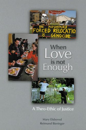 When Love is not Enough: A TheoEthic of Justice (Theology),Used