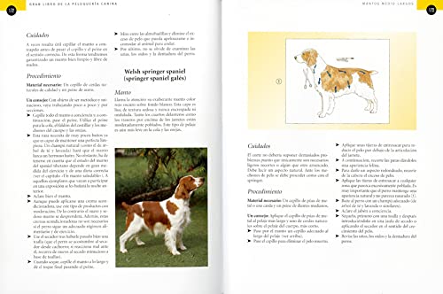 Peluquera canina. Gua completa para el cuidado, aseo y peinado de 170 razas de perros (Spanish Edition),Used