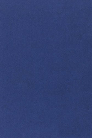 Whistleblowing: Law and Practice,Used