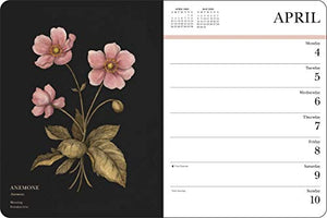 Floriography 2022 Monthly/Weekly Planner Calendar: Secret Meaning Of Flowers