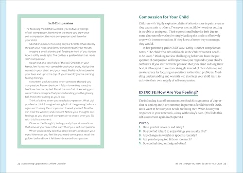 Overcoming Oppositional Defiant Disorder: A TwoPart Treatment Plan to Help Parents and Kids Work Together,Used