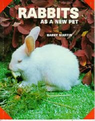 Rabbits As a New Pet,Used