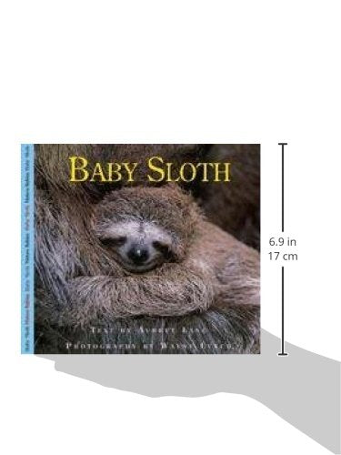 Baby Sloth (Nature Babies),Used