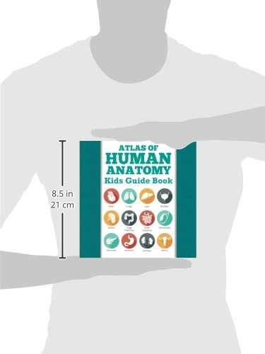 Atlas Of Human Anatomy: Kids Guide Book,Used