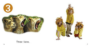 How Many Animals (Collins Big Cat),Used