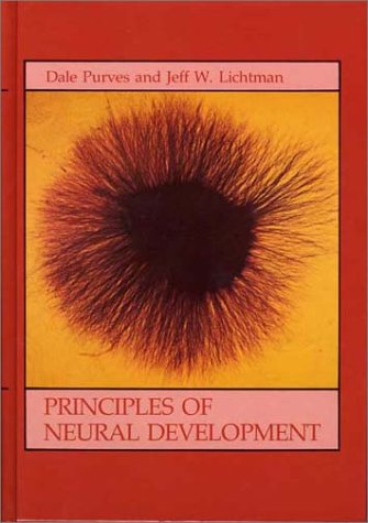 Principles of Neural Development,Used