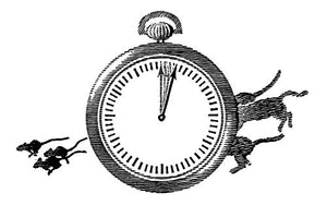 Entertaining Mathematical Puzzles,Used