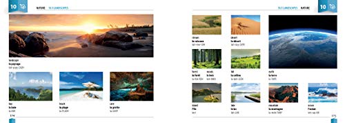 Berlitz Picture Dictionary French (Berlitz Picture Dictionaries)