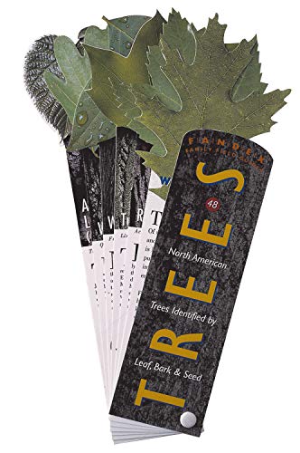 Fandex Family Field Guides: Trees,Used