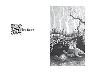 Watering the Soul,Used