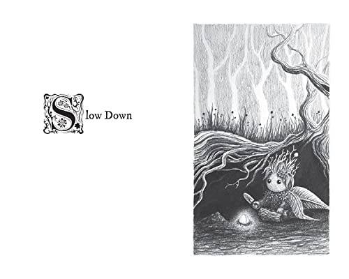 Watering the Soul,Used