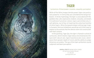 Animal Spirits Knowledge Cards : Paintings By Susan Seddon Boulet,New