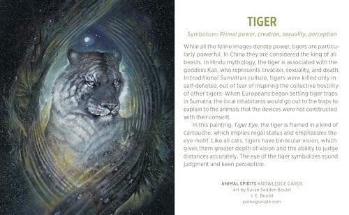 Animal Spirits Knowledge Cards : Paintings By Susan Seddon Boulet,New