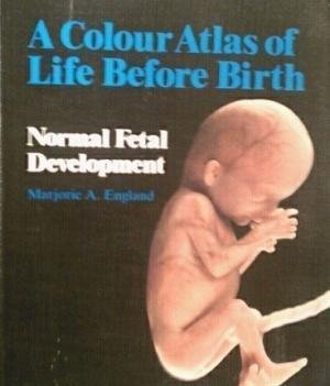 Color Atlas of Life Before Birth  Normal Fetal Development,Used