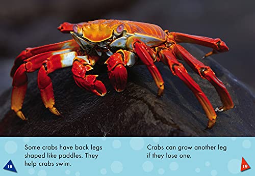 Crabs (Blastoff! Readers: Oceans Alive),Used