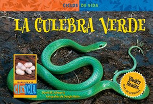 LA Culebra Verde/ Green Snake (Life Cycles) (Spanish Edition),Used