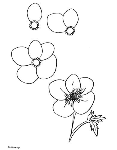 How to Draw Flowers (Dover How to Draw),Used
