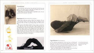 Awakening The Spine: The Stressfree New Yoga That Works With The Body To Restore Health, Vitality And Energy,New
