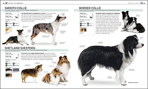 Complete Dog Breed Book,New