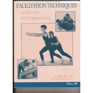 Facilitation Techniques Based on Ndt Principles,New