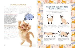A Kid'S Guide To Cats: How To Train, Care For, And Play And Communicate With Your Amazing Pet!