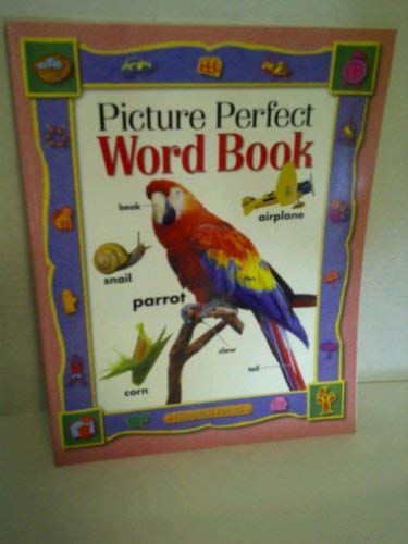 Picture Perfect Word Book (Avenues),Used