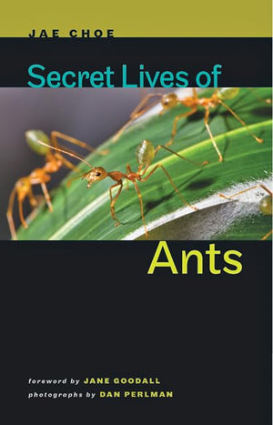 Secret Lives Of Ants,Used