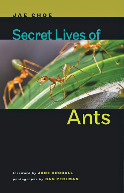 Secret Lives Of Ants,Used