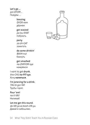 What They Didn't Teach You in Russian Class: Slang Phrases for the Cafe, Club, Bar, Bedroom, Ball Game and More,Used