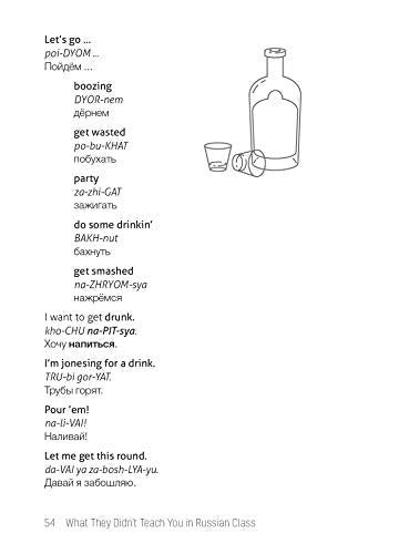 What They Didn't Teach You in Russian Class: Slang Phrases for the Cafe, Club, Bar, Bedroom, Ball Game and More,Used